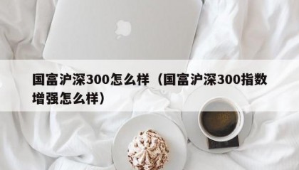 国富沪深300怎么样（国富沪深300指数增强怎么样）