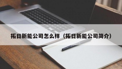 拓日新能公司怎么样（拓日新能公司简介）
